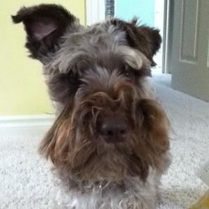 Meet your Posher, Nancy